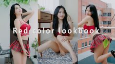 [4K 세로] 눈앞에서 극락보내는 레드 컬러 란제리 룩북 underwear LOOKBOOK 직캠 / 윤서린