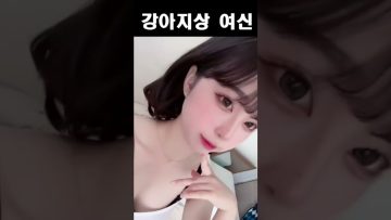 강아지