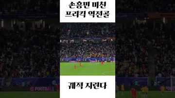 [대한민국vs호주] 8강 손흥민 프리킥 역전골 ㅁㅊ다….